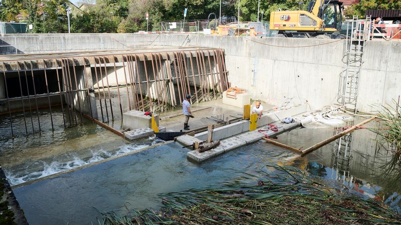 Remise à ciel ouvert de la Drize, PAV, Genève – Secteur Grange-Collomb : réalisation de la prise d’eau dans l’actuel ouvrage de régulation – Loris von Siebenthal